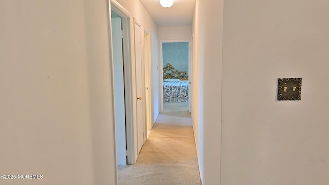 7 Mcintosh Ln, Manalapan, NJ 07726 - photo 19
