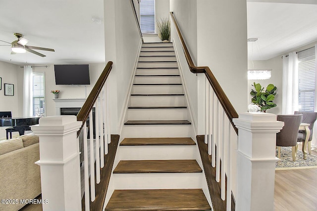 9 Lobelia Ln, Old Bridge, NJ 08857 - photo 14