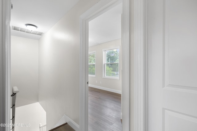 6 Peterson Dr, Little Egg Harbor, NJ 08087 - photo 23