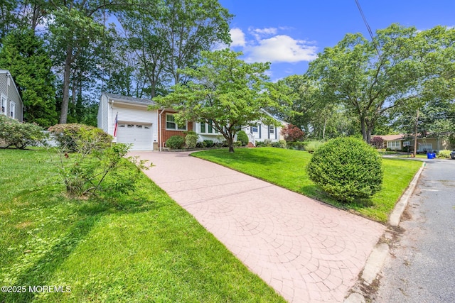 65 Pineland Rd, Brick, NJ 08724 - photo 4