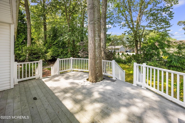 65 Pineland Rd, Brick, NJ 08724 - photo 37