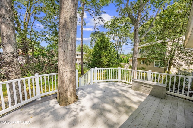 65 Pineland Rd, Brick, NJ 08724 - photo 38