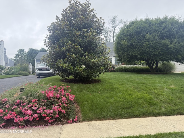 342 Macarthur Ave, Long Branch, NJ 07740 - photo 5