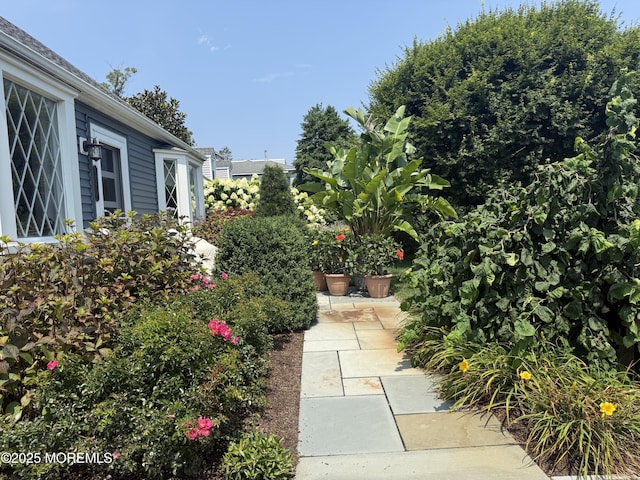 342 Macarthur Ave, Long Branch, NJ 07740 - photo 2