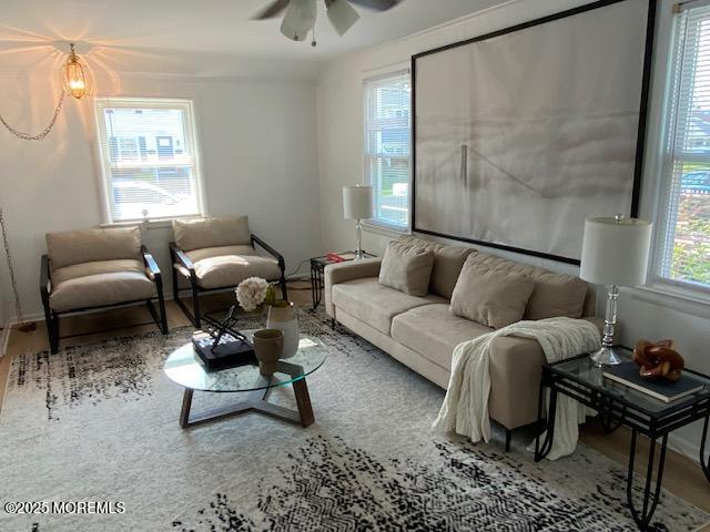 1223 Briarwood Rd, Belmar, NJ 07719 - photo 4