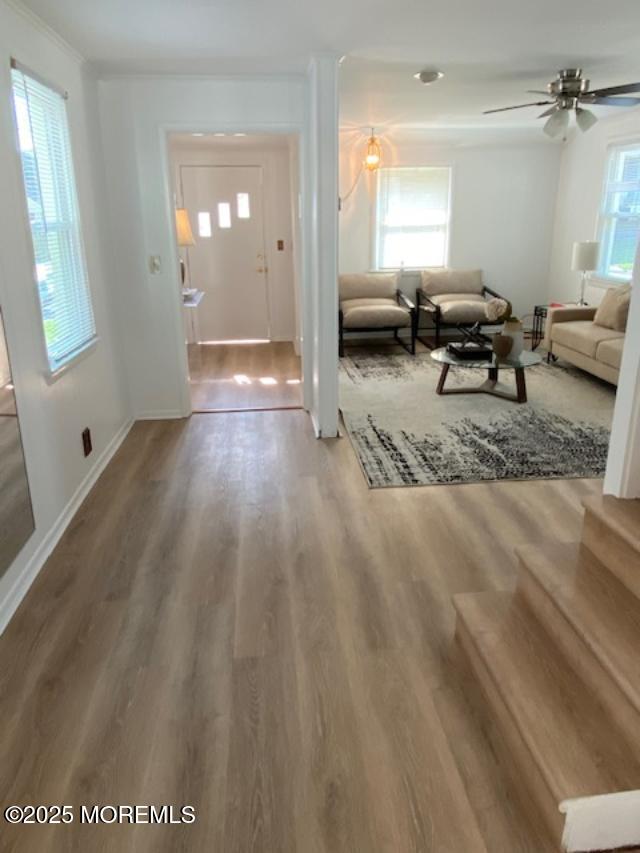 1223 Briarwood Rd, Belmar, NJ 07719 - photo 7