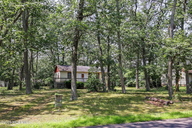 3 Cypress Ave, Jackson, NJ 08527 - photo 18