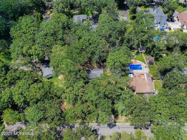 3 Cypress Ave, Jackson, NJ 08527 - photo 19
