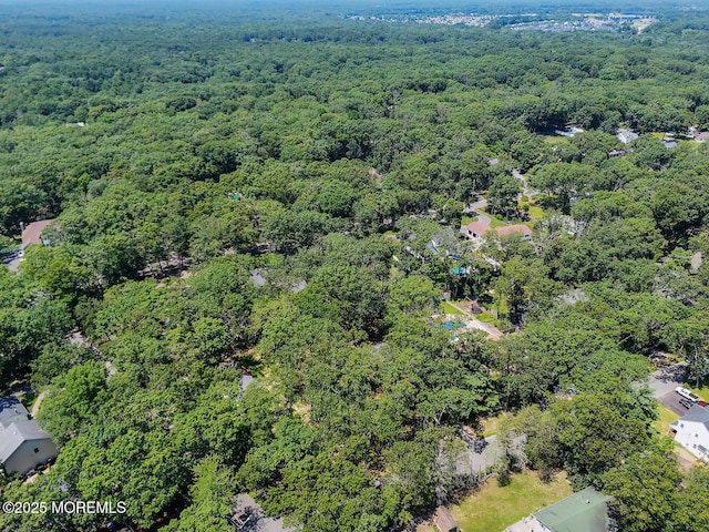 3 Cypress Ave, Jackson, NJ 08527 - photo 22