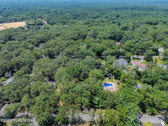 3 Cypress Ave, Jackson, NJ 08527 - photo 23