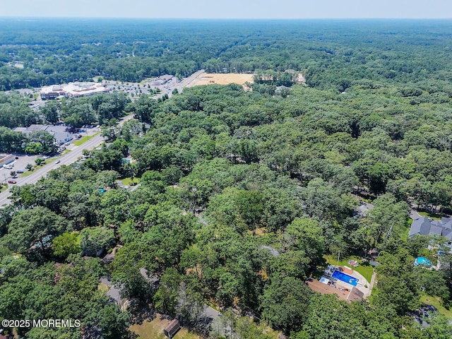 3 Cypress Ave, Jackson, NJ 08527 - photo 24
