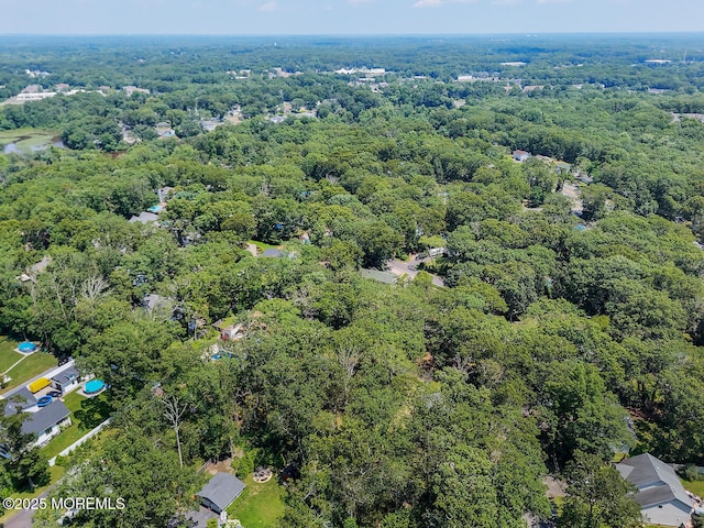3 Cypress Ave, Jackson, NJ 08527 - photo 29