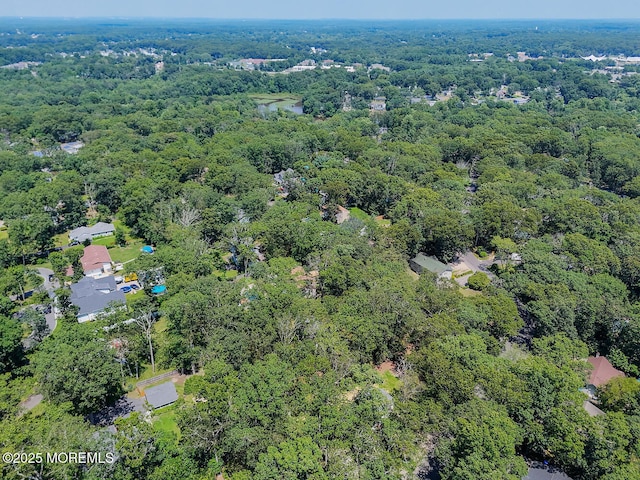 3 Cypress Ave, Jackson, NJ 08527 - photo 30