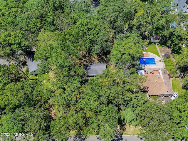 3 Cypress Ave, Jackson, NJ 08527 - photo 31