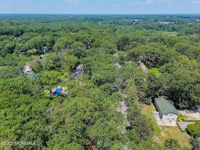 3 Cypress Ave, Jackson, NJ 08527 - photo 33