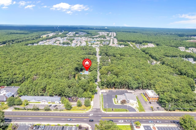 1014 Trenton Ave N, Forked River, NJ 08731 - photo 37