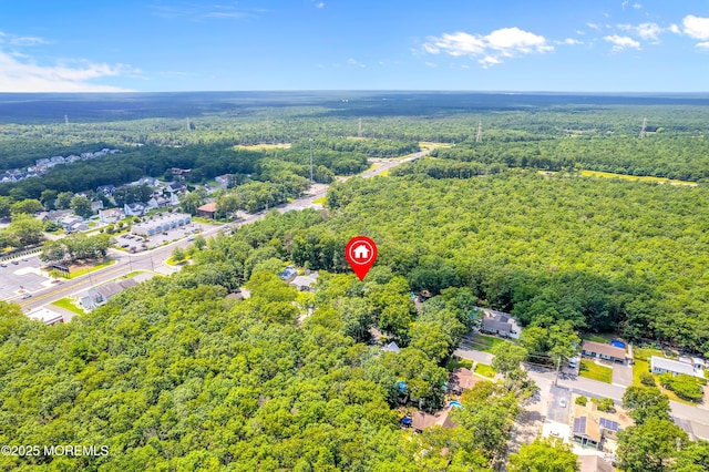 1014 Trenton Ave N, Forked River, NJ 08731 - photo 41