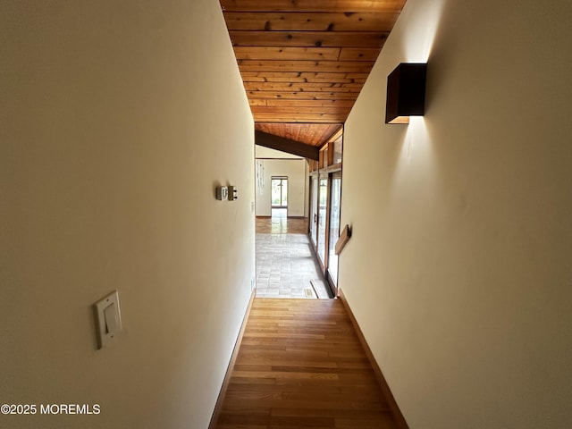 8 Evergreen Dr, Little Egg Harbor, NJ 08087 - photo 22