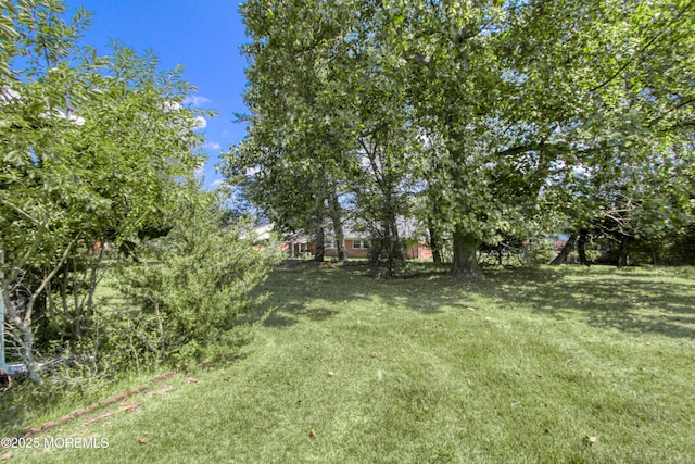 6 Ironside Dr Unit B, Whiting, NJ 08759 - photo 18