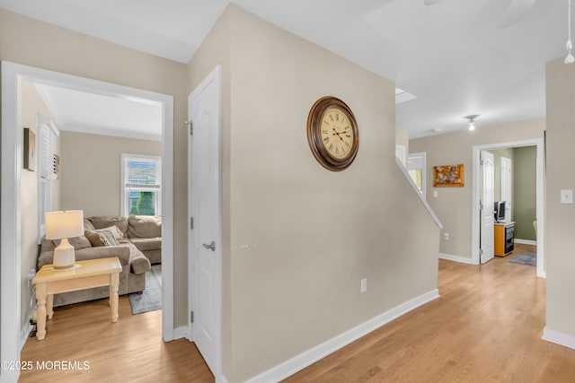 19 Ardmore Dr, Brick, NJ 08723 - photo 11