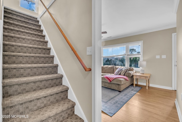 19 Ardmore Dr, Brick, NJ 08723 - photo 18