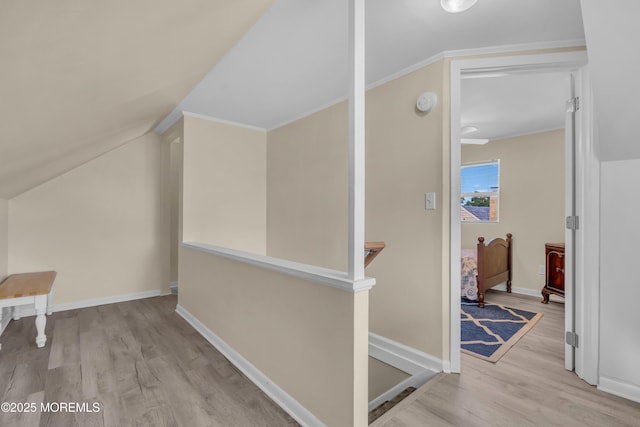 19 Ardmore Dr, Brick, NJ 08723 - photo 21