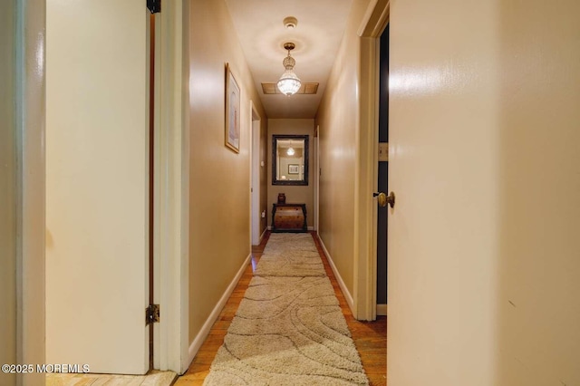 19 Buttonwood Ln E, Rumson, NJ 07760 - photo 20