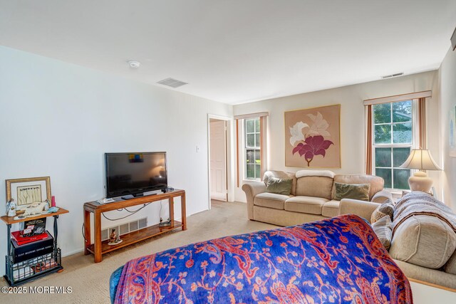117 Mohican Ln, Little Egg Harbor, NJ 08087 - photo 17