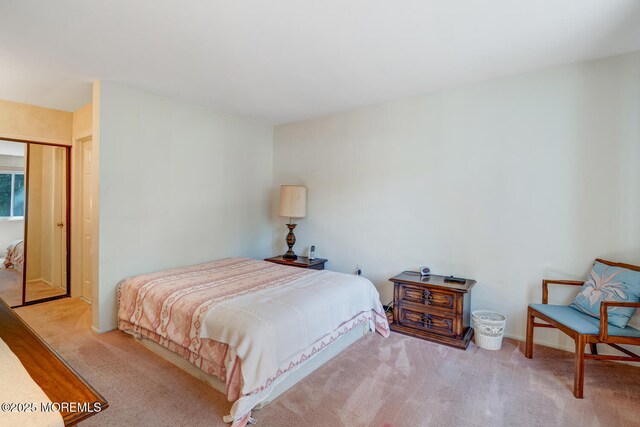 117 Mohican Ln, Little Egg Harbor, NJ 08087 - photo 24