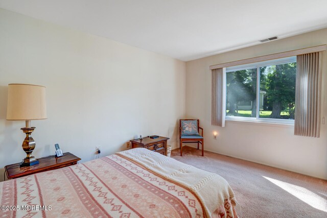 117 Mohican Ln, Little Egg Harbor, NJ 08087 - photo 26