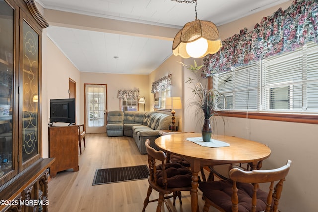 1817 Pine Ter, Belmar, NJ 07719 - photo 10