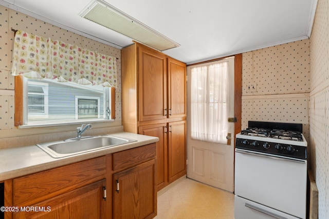 1817 Pine Ter, Belmar, NJ 07719 - photo 14