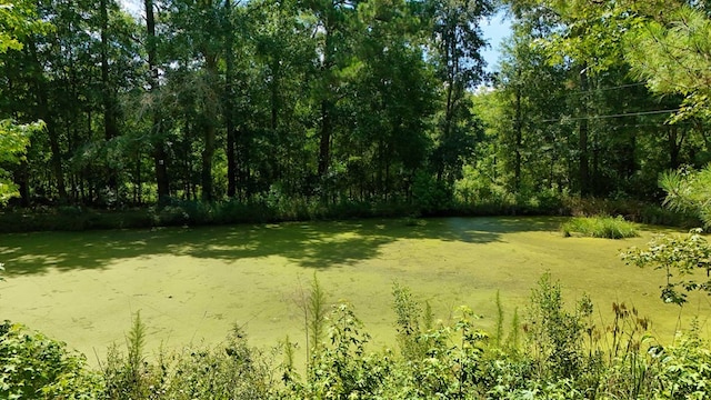 1217 Pine Park Rd, Cairo, GA 39828 - photo 60