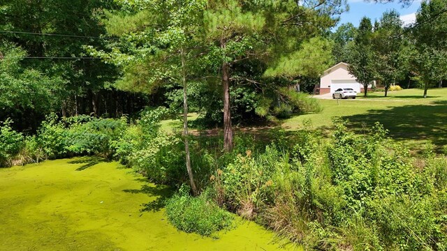1217 Pine Park Rd, Cairo, GA 39828 - photo 59
