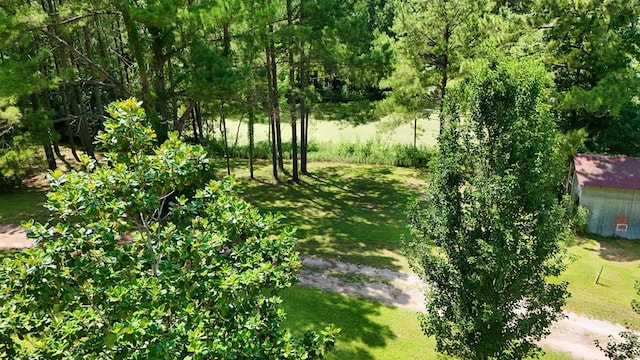 1217 Pine Park Rd, Cairo, GA 39828 - photo 71