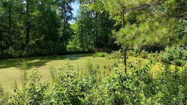 1217 Pine Park Rd, Cairo, GA 39828 - photo 61