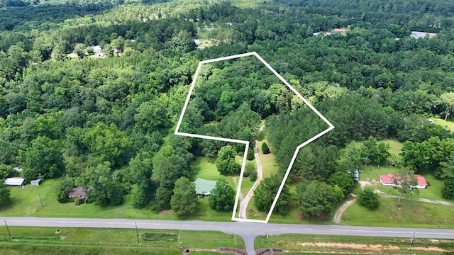 1217 Pine Park Rd, Cairo, GA 39828 - photo 3