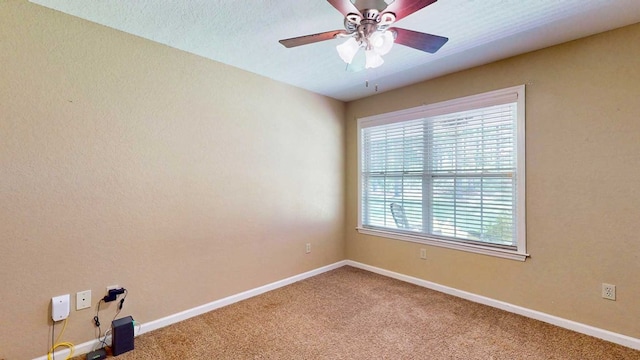 1217 Pine Park Rd, Cairo, GA 39828 - photo 32