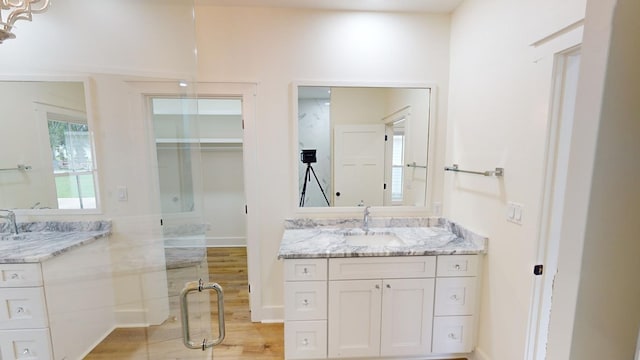 bathroom with wood-type flooring and vanity