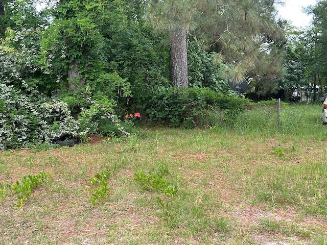 606 Willard Ave, Albany, GA 31701 - view of yard