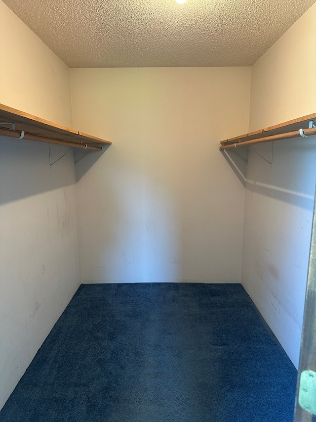 2069 Baker Rd, Coolidge, GA 31757 - walk in closet featuring carpet