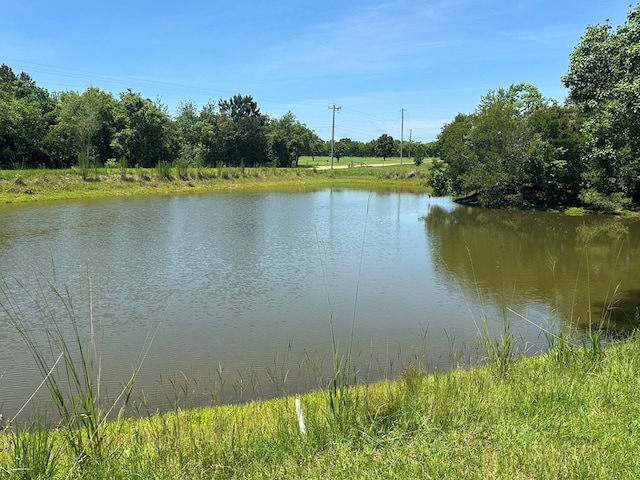 2069 Baker Rd, Coolidge, GA 31757 - water view