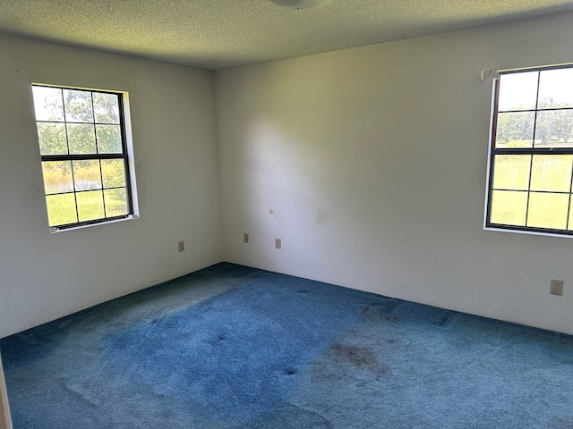 2069 Baker Rd, Coolidge, GA 31757 - unfurnished room with carpet and a textured ceiling