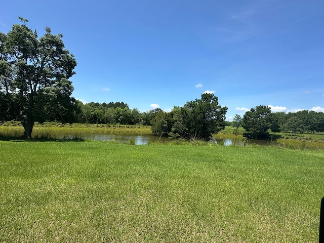 2069 Baker Rd, Coolidge, GA 31757 - view of yard with a water view