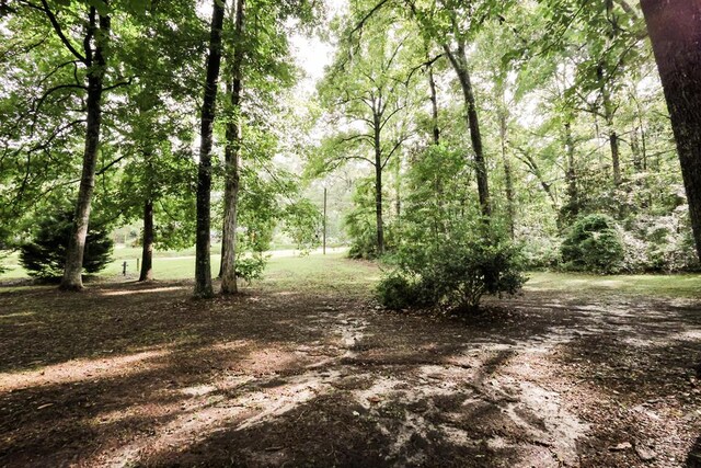 1327 Hall Rd, Thomasville, GA 31757 - photo 18
