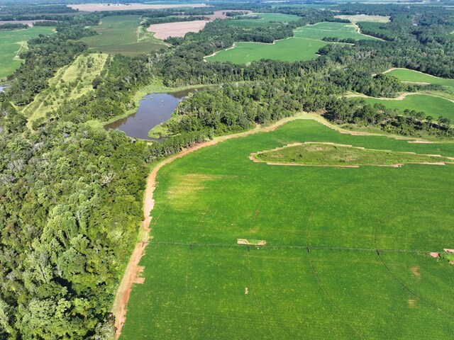 00 Bluffton Rd, Bluffton, GA 39846