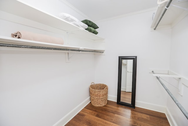 walk in closet featuring wood finished floors