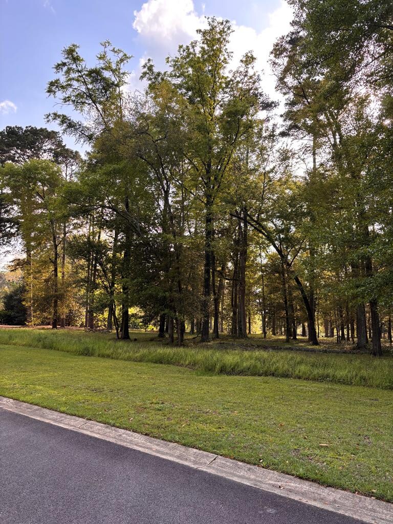 111 Wayfair Ct, Thomasville, GA 31792 - photo 1