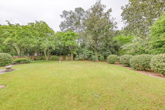 902 SE 2nd St, Moultrie, GA 31776 - view of yard