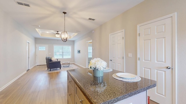 314 Grove Pointe Dr, Thomasville, GA 31792 - kitchen featuring light wood-style flooring, open floor plan, a ceiling fan, a raised ceiling, and pendant lighting